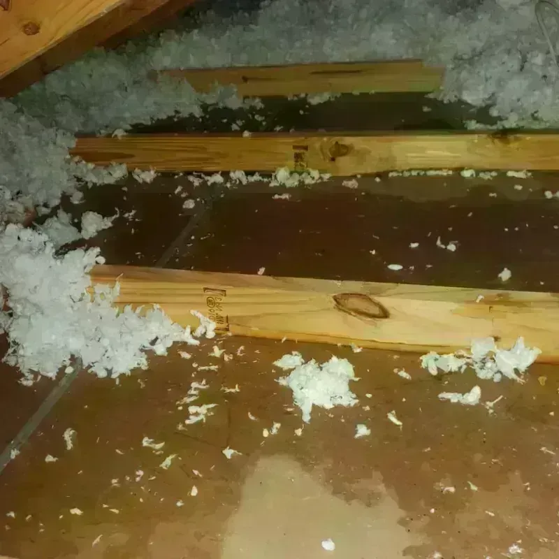 Attic Water Damage in Morris County, TX