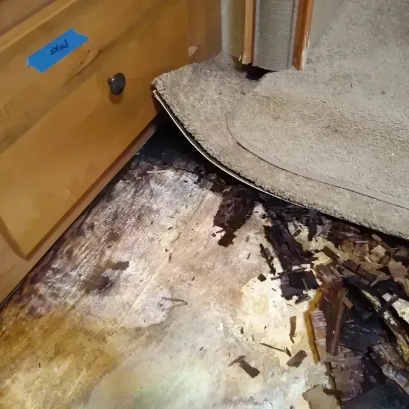 Wood Floor Water Damage in Morris County, TX